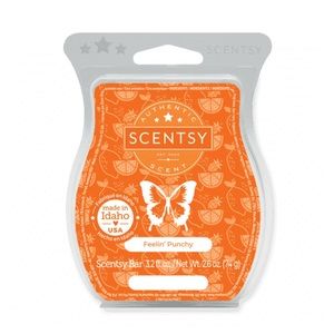 Scentsy Feelin’ Punchy Wax Bar